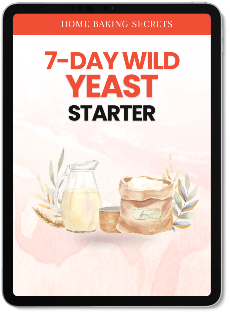 01 7-day wild yeast starter