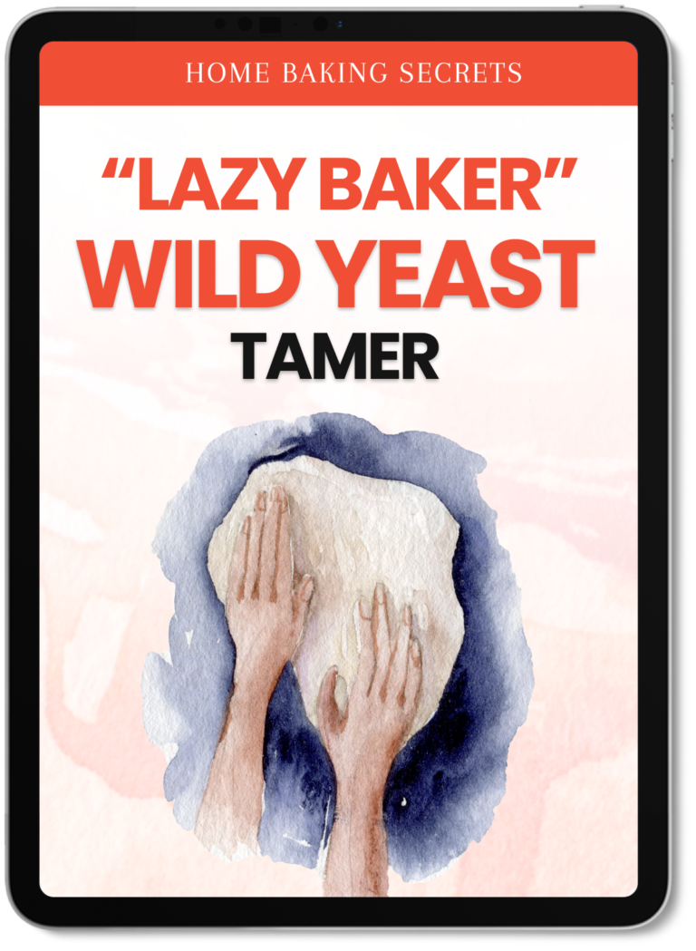 09 Lazy Baker Wild Yeast Tamer